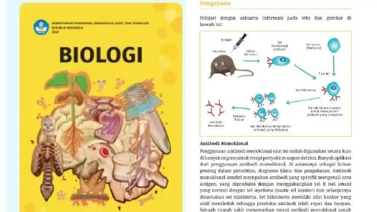 Kunci Jawaban Soal Sumatif Biologi SMA Kelas 11 Semester 2 Kunci Kunci Jawaban Soal Sumatif Biologi SMA Kelas 11 Semester 2 Kunci