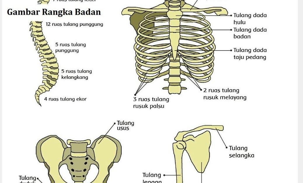 Wajib Tahu Rahasia Menjawab Soal Bahasa Indonesia Kelas 8 Semester 1 2017 Penilaian Harian